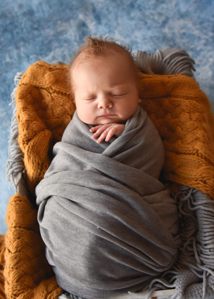 studio newborn session, baby wrapped in grey on blue background