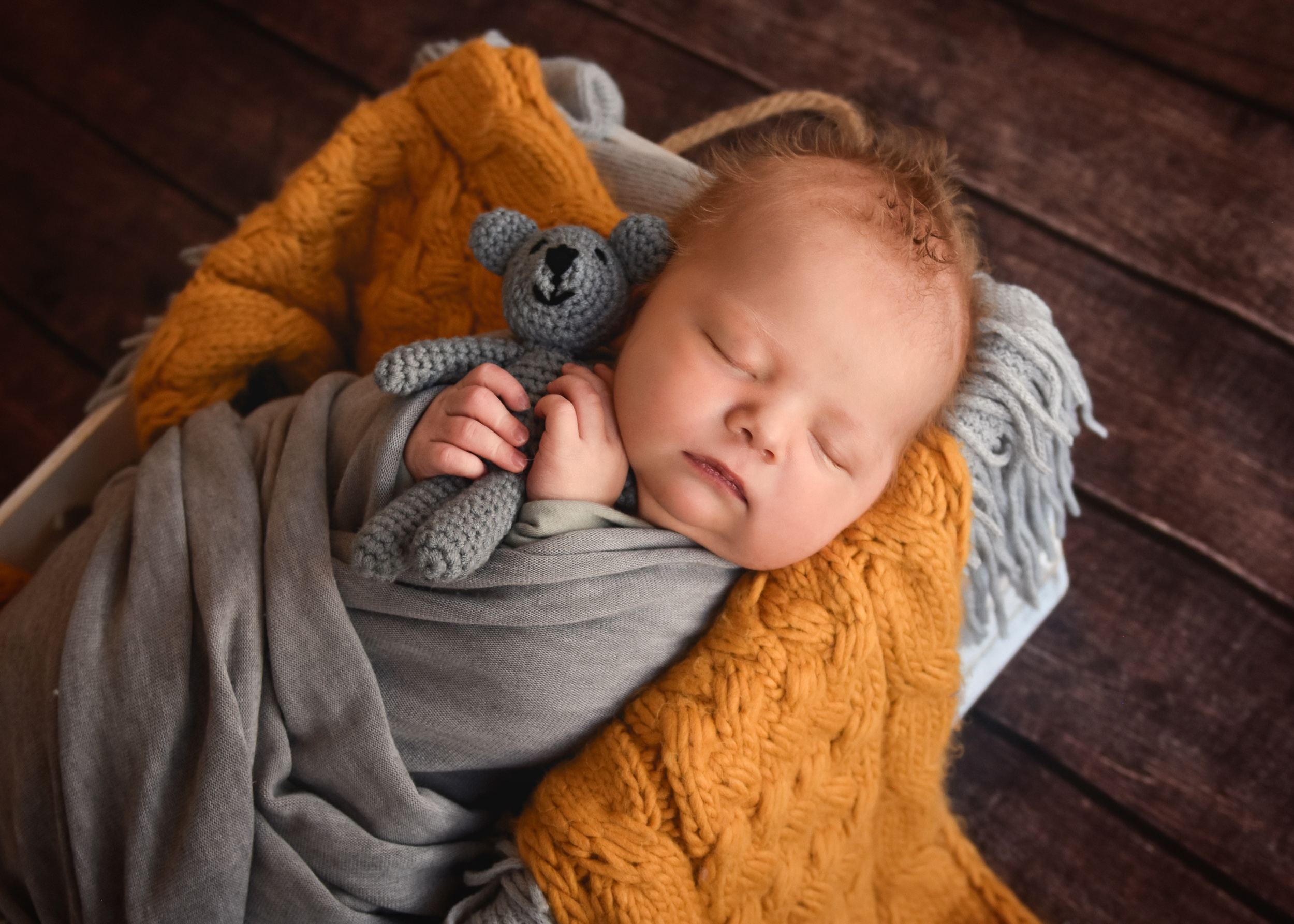 Studio newborn session, baby wrapped in grey holding grey teddy bear